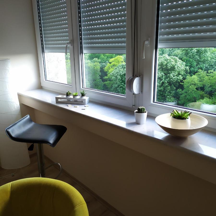 Diva Apartman Arandjelovac Exteriör bild
